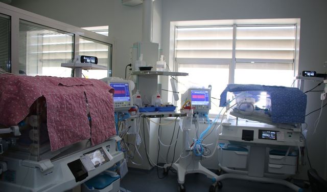 Beşiz bebekler o ilde dünyaya Geldi