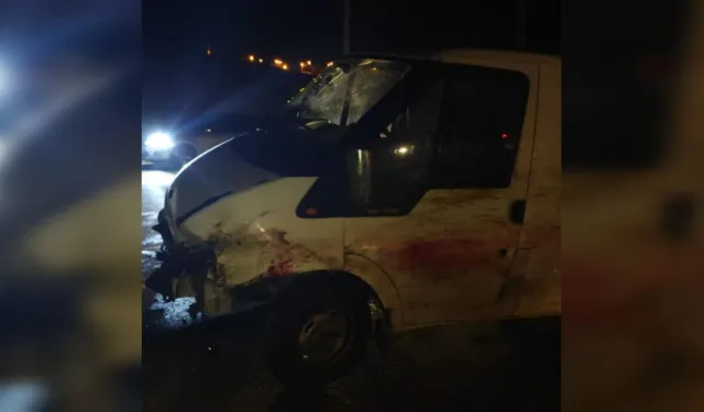 Minibüs Koyun Sürüsüne Çarptı: 20 Koyun Telef Oldu