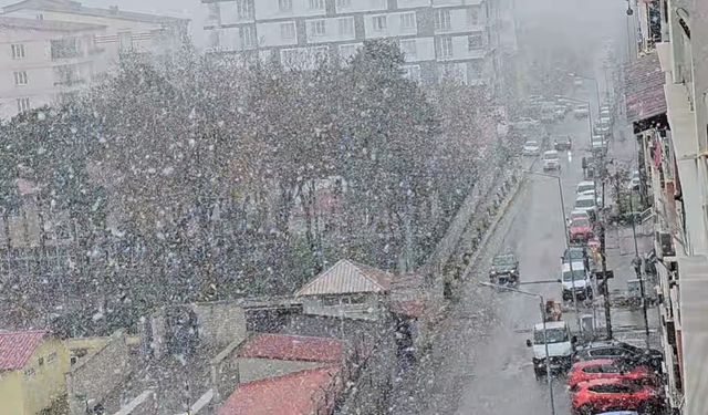 Tatvan'da Kar Yağışı Etkisini Sürdürüyor