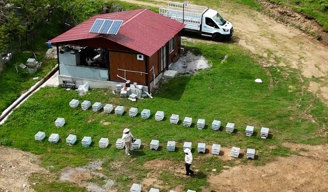 Bitlisli Arıcılar Yeni Sezona Umutla Başladı
