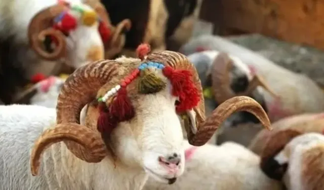 2025 Kurban Bayramı Ne Zaman? Tatil Süresi ve Başlangıç Günü Belli Oldu