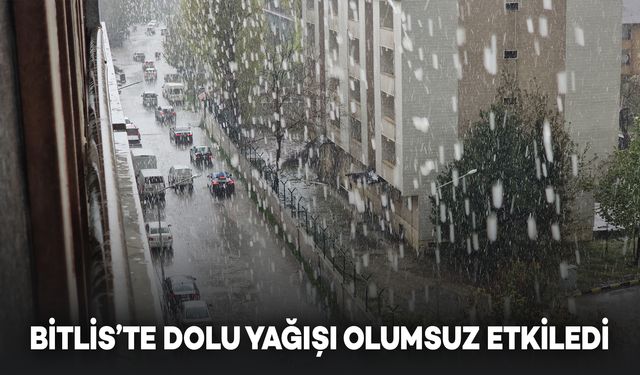 Bitlis'te Dolu Yağışı Hayatı Olumsuz Etkiledi