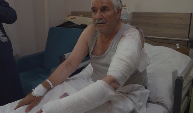 Van'da Ot Biçerken Kurt Saldırısına Uğradı