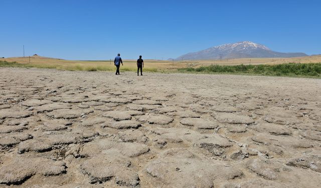 Kuraklık Adilcevaz’daki Heybeli Gölü'nü Kuruttu