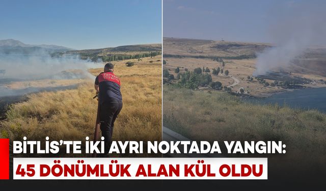 Bitlis'te İki Ayrı Yerde Yangın: 45 Dönümlük Alan Kül Oldu