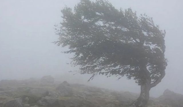 Siirt’te Kuvvetli Rüzgâr Uyarısı