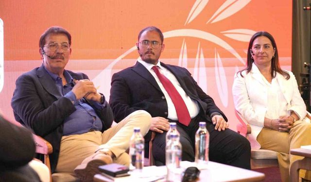 2026'nın Başlarında Zeytinyağı Fiyatlarında Düşüş Bekleniyor