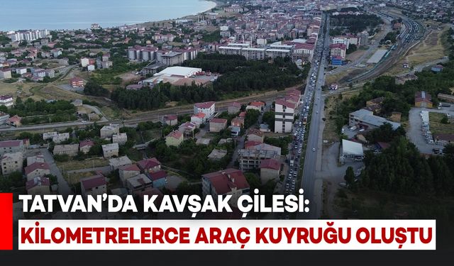 Bitlis'te Kilometrelerce Araç Kuyruğu Oluştu