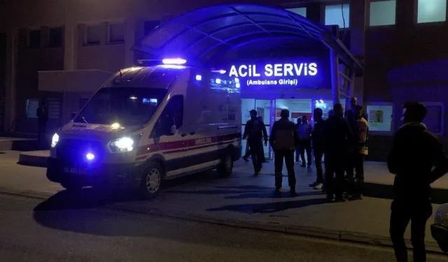 İki Otomobilin Çarpıştığı Kazada 7 Kişi Yaralandı