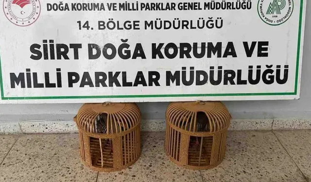 Kınalı Keklik Satın Alan Kişiye 19 Bin 977 TL Ceza