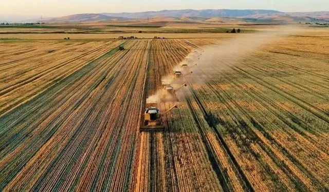 Çiftçilere 344 Milyon Liralık Destek Ödemesi Yapılıyor