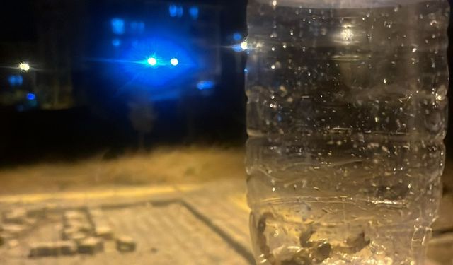 Batman’da TOKİ Konutlarını Akrepler Bastı: Mahalleli Tedirgin