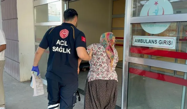 Yılanın Isırdığı Kadın Hastanelik Oldu