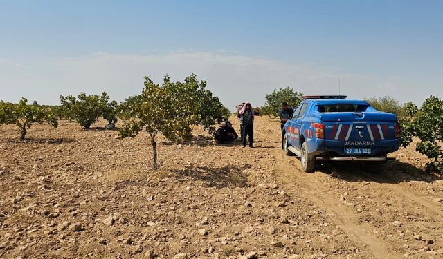 Hasat sırasında fenalaşan işçi hayatını kaybetti