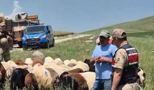 Kaybolan hayvanlar sahibine teslim edildi
