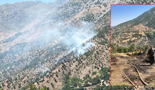 Bingöl’de Orman ve Arazi Yangınları Söndürüldü