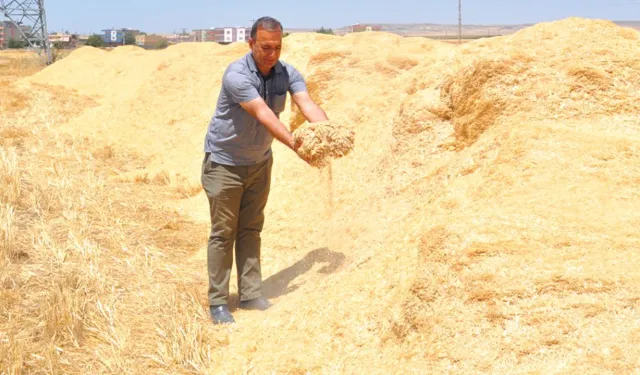 Saman Fiyatlarında Rekor Artış: Mercimek Samanı 14 Bin TL’ye Dayandı