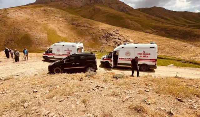 Aile Yolculuğu Hastanede Bitti: 3 Yaralı