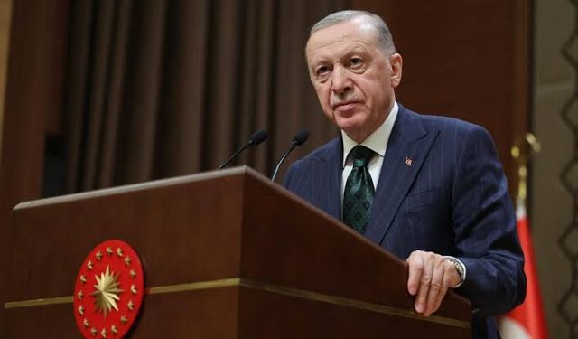 Cumhurbaşkanı Erdoğan'dan orman yangınlarıyla ilgili açıklama