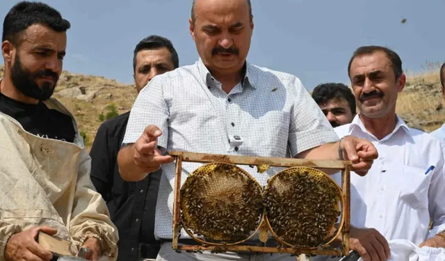 Batman’da Arıcılık Sezonunun İlk Bal Sağımı Gerçekleşti