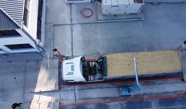 Buğday Rekoltesi Yüz Güldürdü: 45 Bin Tonun Üzerinde Hasat