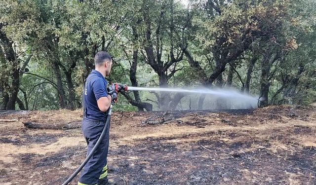 Orman yangınında 30 hektarlık alan kül oldu