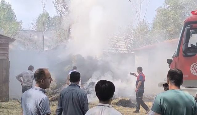 Çıkan Yangında Bin Bağ Ot Kül Oldu