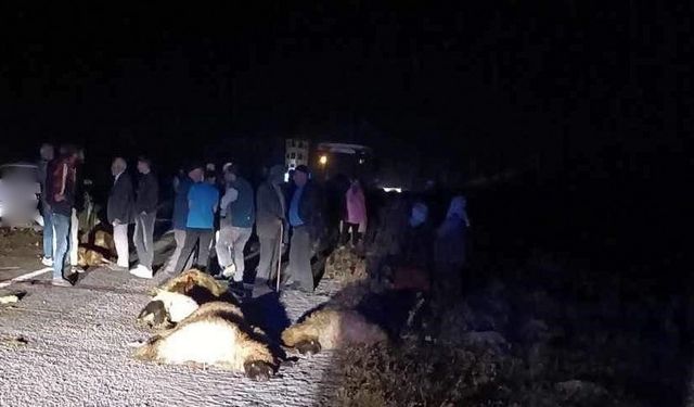 Otomobil Koyun Sürüsüne Daldı: 23 Hayvan Telef Oldu
