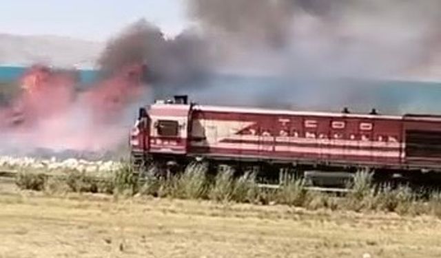 Van'da Göl'ün Sazlıklarında Korkutan Yangın