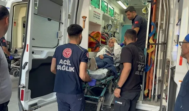 Yolcu Minibüsü Direğe Çarptı: 8 Kişi Yaralandı