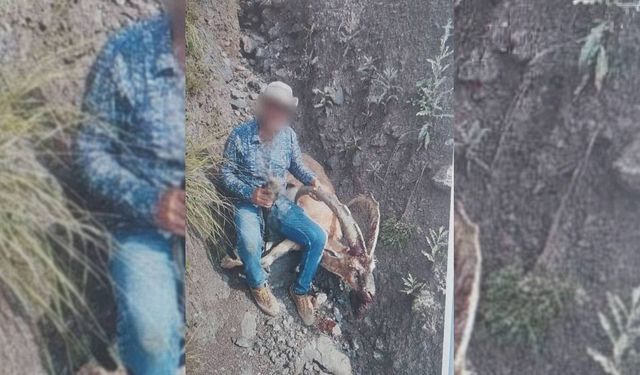 Yaban Keçisi Avlayan Kişiye 650 Bin Lira Ceza