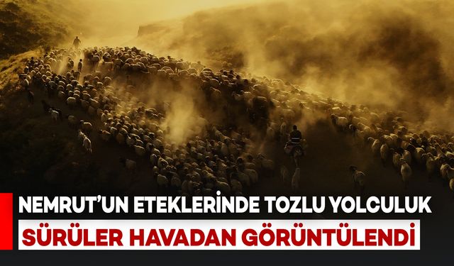 Nemrut’un Eteklerinde Tozlu Yolculuk: Sürüler Havadan Görüntülendi