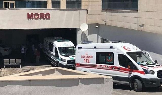 Siirt’te traktör devrildi: Sürücü hayatını kaybetti