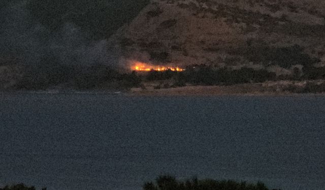 Tatvan’da orman yangını: 5 dönüm alan zarar gördü