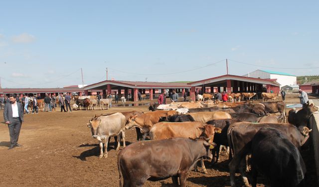 Canlı Hayvan Borsası 10 Eylül’de Yeniden Açılıyor