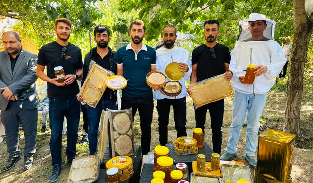 Hakkari'de bal hasadı başladı