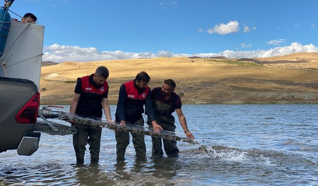 Muş’ta Gölet ve Barajlara 1 Milyon Sazan Yavrusu Bırakıldı