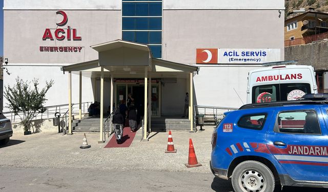 Ceviz toplamak için çıktığı ağaçtan düşerek öldü