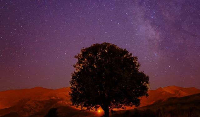 Samanyolu’nun Işıltısı Tatvan’da Objektiflere Yansıdı