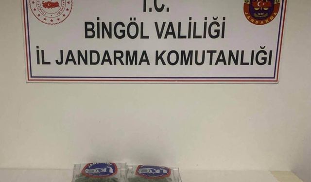 Jandarmadan Uyuşturucu Operasyonu: 34 Şüpheli Gözaltına Alındı