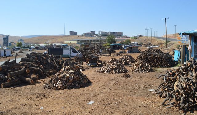 Havalar soğumaya başladı, odun fiyatları cep yakıyor
