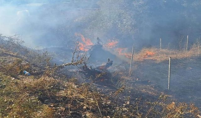 Bingöl’ün Genç ilçesinde çıkan yangın büyümeden söndürüldü