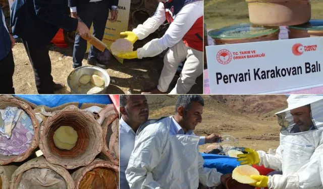 Siirt'te Bal Sezonu Başladı: Türkiye’nin En Kaliteli Balı Hasat Ediliyor