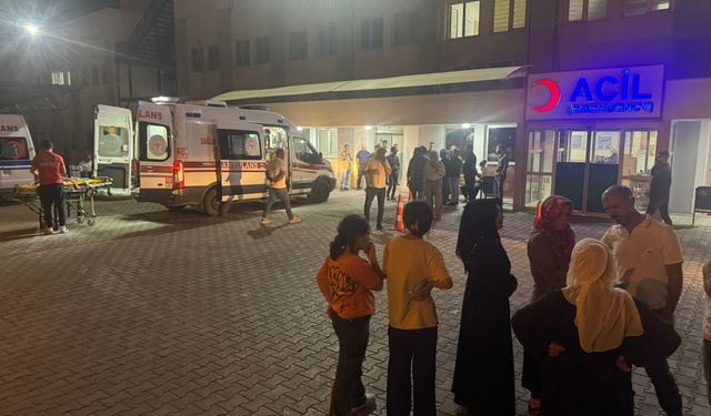 Fıstık İşçilerini Taşıyan Minibüs Kaza Yaptı: 7 Yaralı