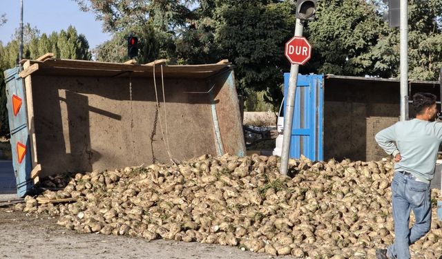 Muş’ta Şeker Pancarı Yüklü Traktör Devrildi