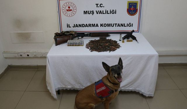 Muş’ta tezek yığınının altından silah ve mühimmat çıktı