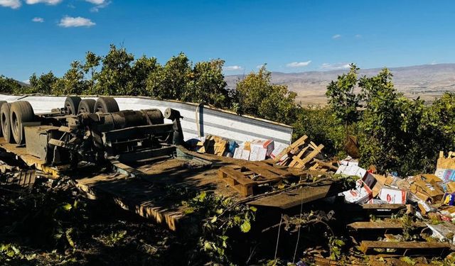 Muş’ta freni boşalan tır devrildi: 1 yaralı