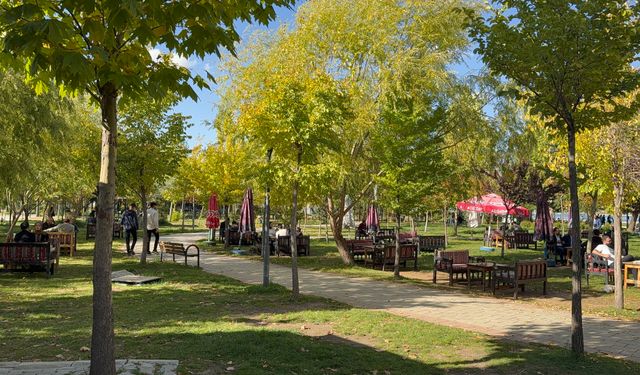 Güneşi gören Tatvanlılar sahile akın etti