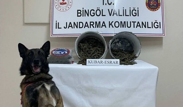 Bingöl’de 2 Kilo Esrar Ele Geçirildi: 1 Kişi Tutuklandı