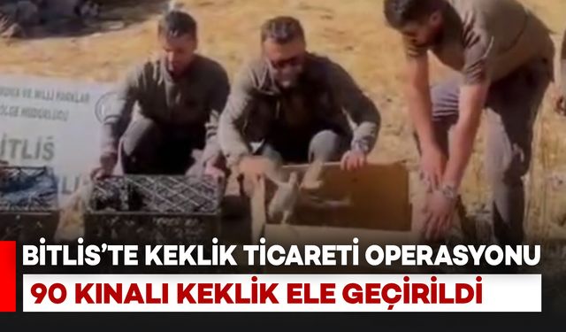 Bitlis’te kaçak keklik ticaretine geçit yok: 90 kınalı keklik ele geçirildi
